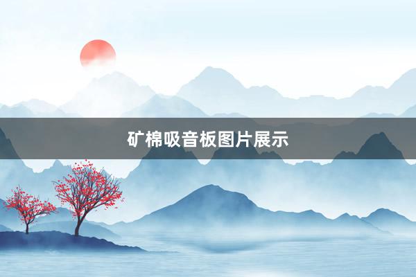 矿棉吸音板图片展示