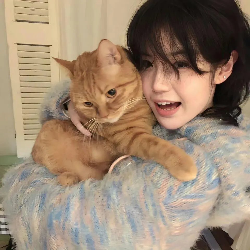 春娇救志明粤语